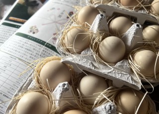 スーパービタミン自然卵